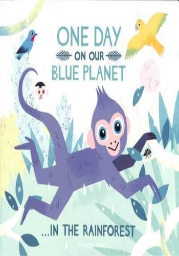 One Day on Our Blue Planet ... In the Rainforest