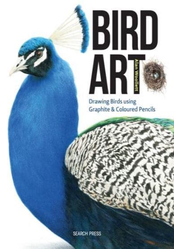 Bird Art