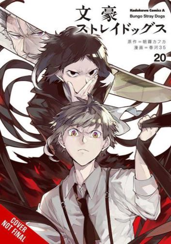 Bungo Stray Dogs. Volume 20